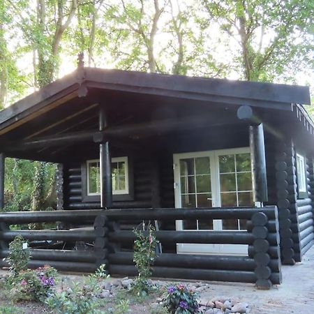 Knusse En Gezellige Blokhut De Bijenstal Villa Dedemsvaart Exteriör bild