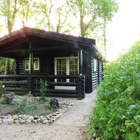 Knusse En Gezellige Blokhut De Bijenstal Villa Dedemsvaart Exteriör bild